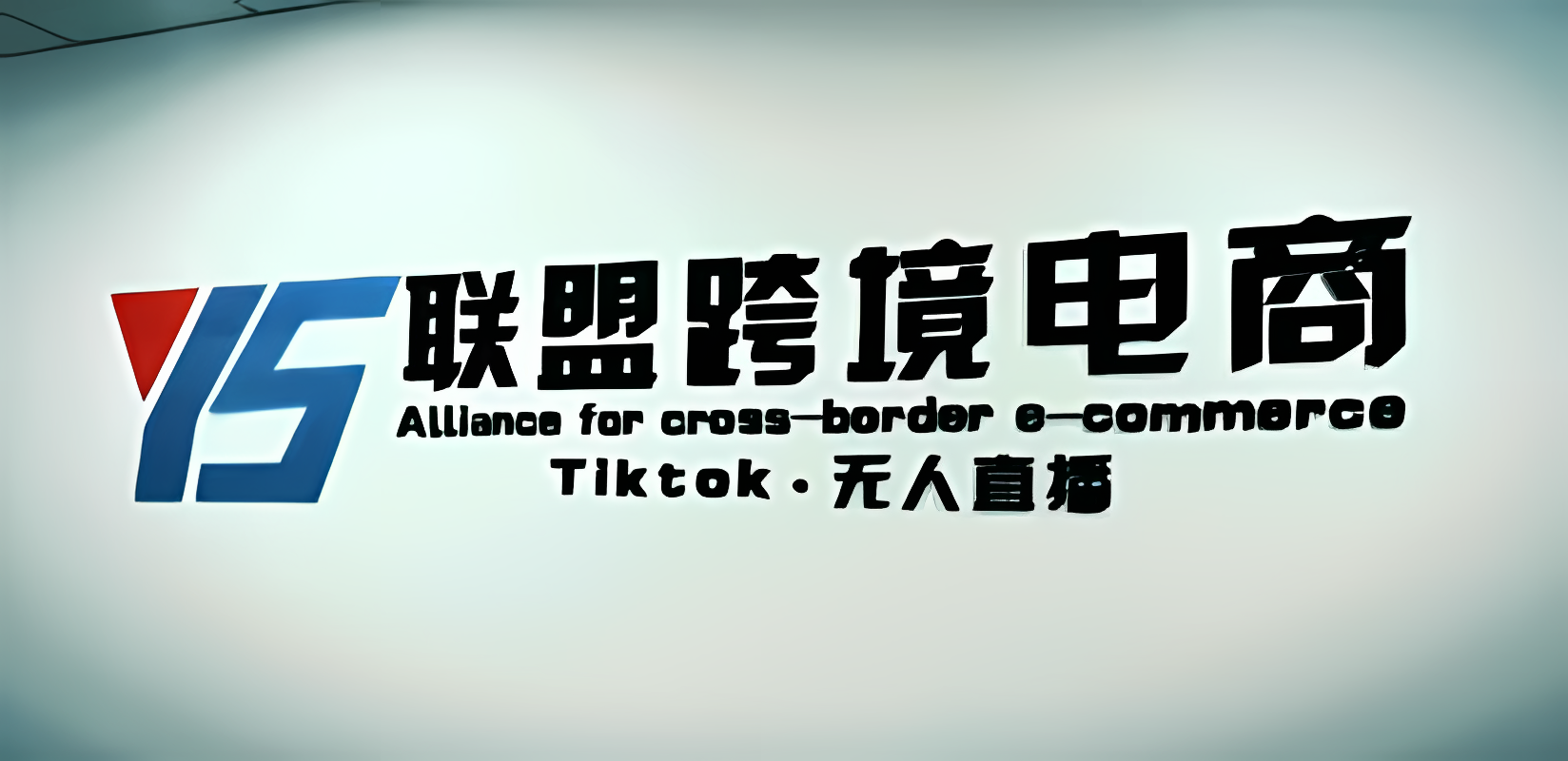 《Tiktok无人直播》不出镜不剪辑不拍摄不发货，无售后的跨境短视频躺赚玩法